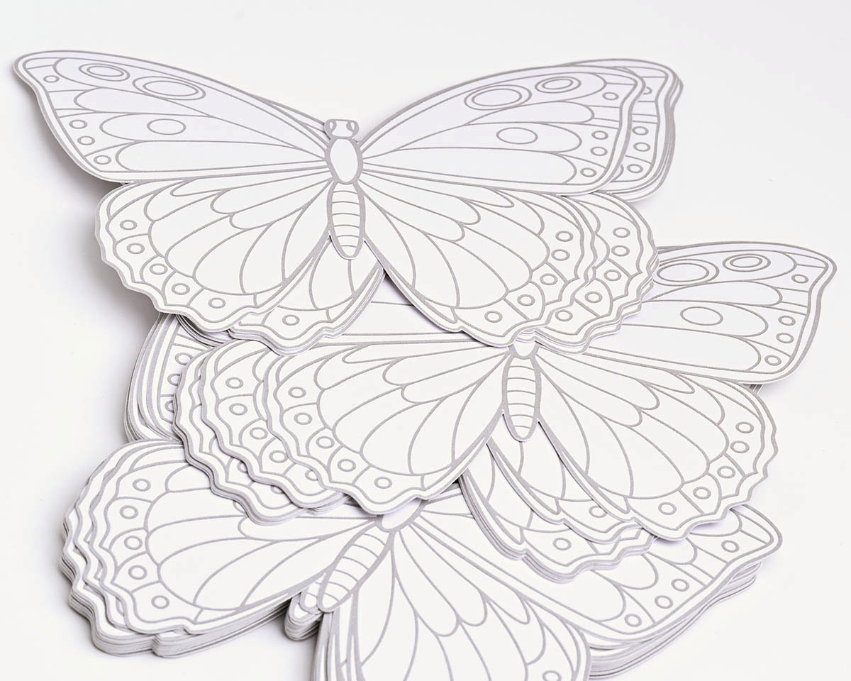 Раскраски для мальчиков Бабочка